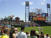 �X�|�[�c�}�l�[�W�����g���C,�X�|�[�c�r�W�l�X,���@