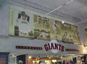 �X�|�[�c�}�l�[�W�����g���C,�X�|�[�c�r�W�l�X,���@