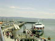 �X�|�[�c�}�l�[�W�����g���C,�X�|�[�c�r�W�l�X,���@